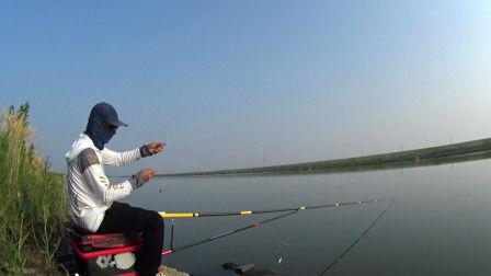 视频钓鱼,如何识别和防范网络陷阱