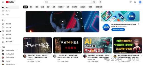 视频免费视频观看网站,畅享海量影视资源攻略