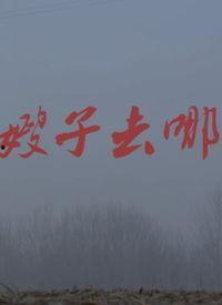 嫂子去哪儿视频,探寻未知旅行奇遇