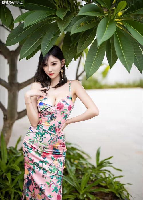 色婷婷手机在线视频,揭秘热门短视频的魅力与影响