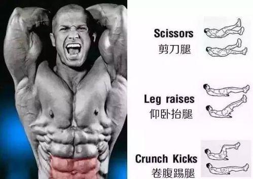练腹肌的动作视频,跟随视频轻松打造完美腹肌