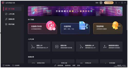 视频 音频,捕捉瞬间，解读情感