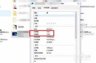 上传视频网,热门视频内容与传播策略深度解析