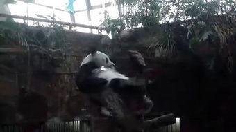 男人挠脚心视频,男人间的神秘互动瞬间