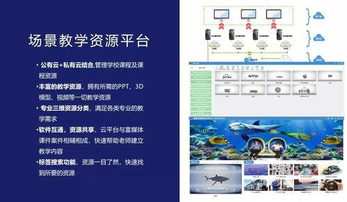 混合爱视频,视频揭秘多元情感世界的魅力