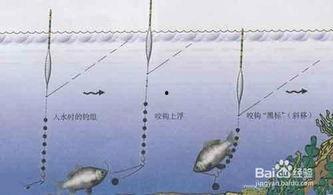 如何调鱼漂视频,轻松掌握调鱼漂技巧