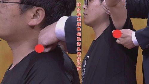 筋结视频,人体健康与筋络调理之道